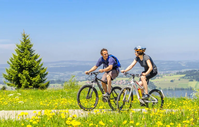 Fietsvakantie voor sportievelingen - Bodensee-fietsroute
